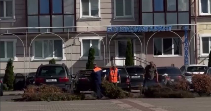 Фотофакт: на площади Ленина коммунальщики убрали увядшие хвойники