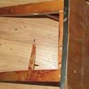 22 года колонии: в Пинске вынесли приговор за избиение до смерти инвалида