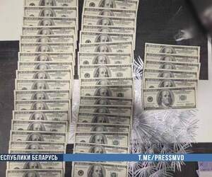 В Брестской области раскрыли коррупционную схему хищения и сбыта мяса