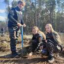 Милиция Пинска и молодежные клубы высадили 5 тысяч саженцев в Молотковичском лесничестве