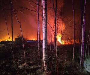 Локализован, но не ликвидирован: в Пинском районе продолжается борьба с огнем
