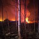 Локализован, но не ликвидирован: в Пинском районе продолжается борьба с огнем