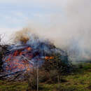 До 2250 рублей за костер: спасатели Пинска ужесточили контроль над палами