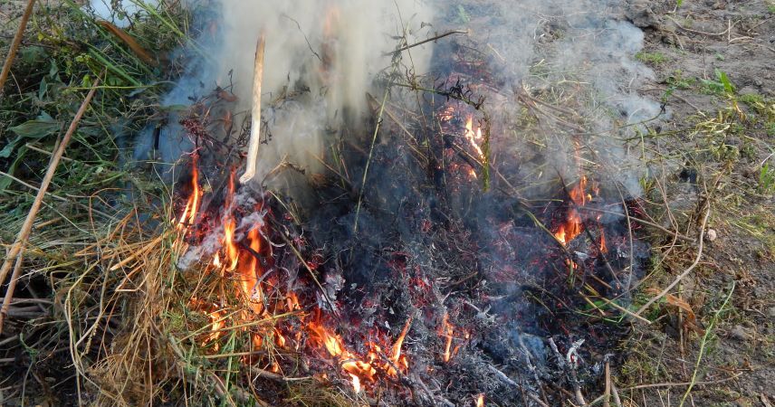 Сжег траву и остался должен более 9 тысяч рублей: житель Пинского района заплатит за ущерб природе