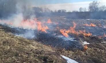 До 20 марта – без дождей: в Пинском районе начался пожароопасный сезон