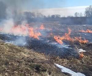 До 20 марта – без дождей: в Пинском районе начался пожароопасный сезон
