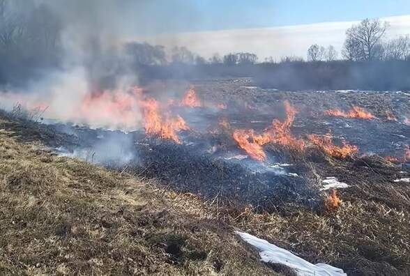 До 20 марта – без дождей: в Пинском районе начался пожароопасный сезон