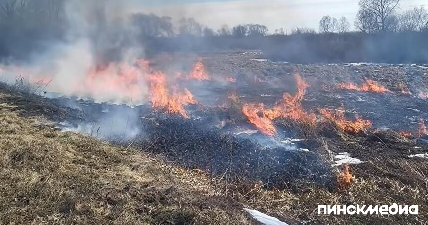До 20 марта – без дождей: в Пинском районе начался пожароопасный сезон