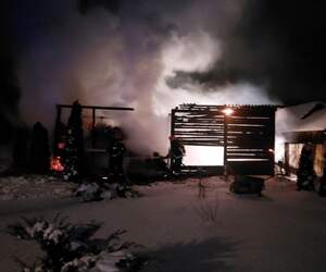 Пинский район: спасатели ликвидировали пожар на территории лесхоза в Доброславке