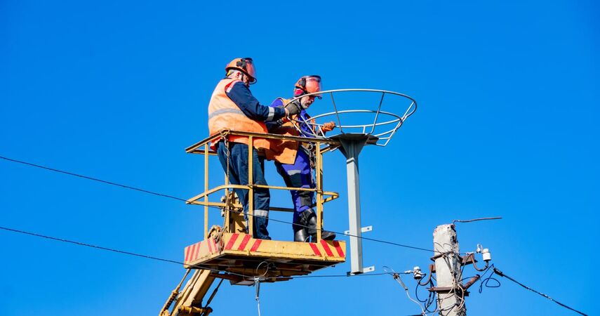 Пинский район: новые конструкции для гнездования аистов установили в Стытычево