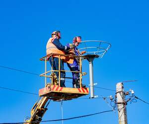 Пинский район: новые конструкции для гнездования аистов установили в Стытычево