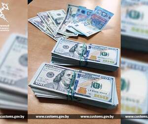 Гражданин Украины пытался вывезти 37 тысяч долларов из Беларуси через «зеленый коридор»