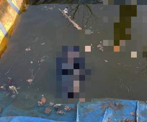 В Столинском районе 27-летний мужчина погиб в искусственном пруду