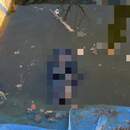 В Столинском районе 27-летний мужчина погиб в искусственном пруду