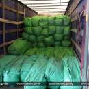 В Бресте две польские фуры попались на обмане таможни на 70 тысяч рублей