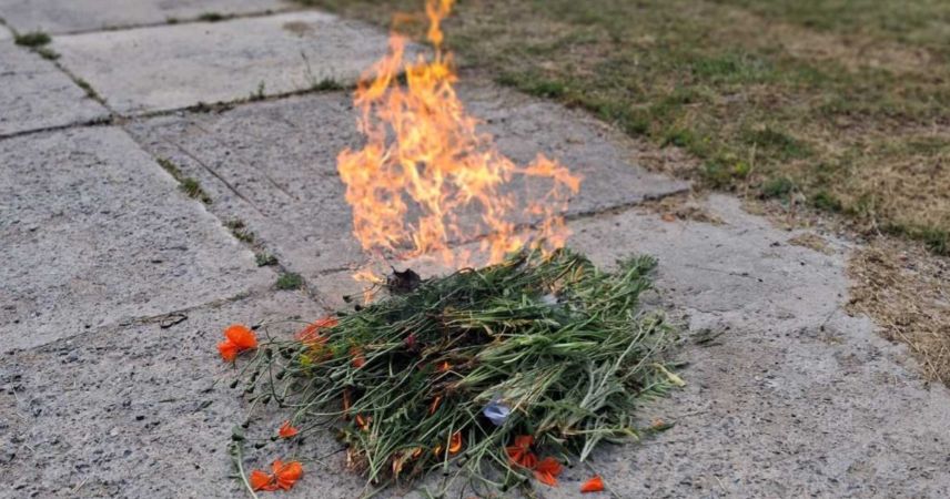 Программа «Мак» в действии: в Брестской области зачистили 105 квадратов с наркорастениями