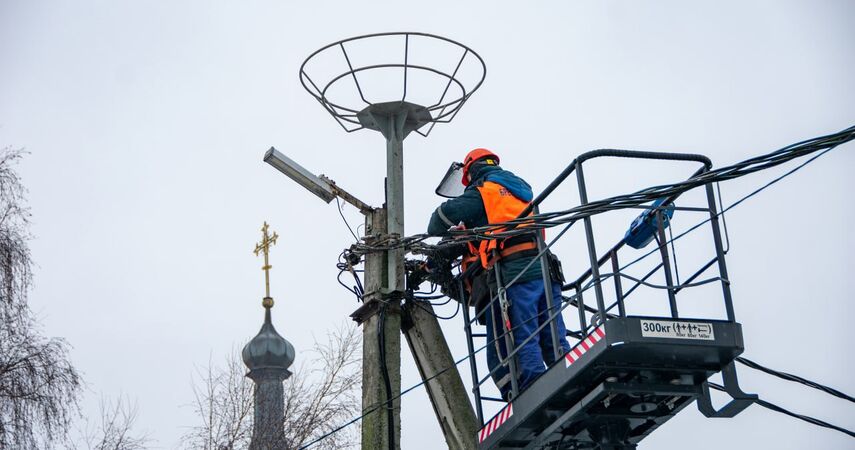 Зима не помеха: в Пинском районе энергетики устанавливают на ЛЭП платформы для аистов