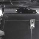 Семейная драма в Пинске: ревнивый муж в багажнике вывез соперника в лес