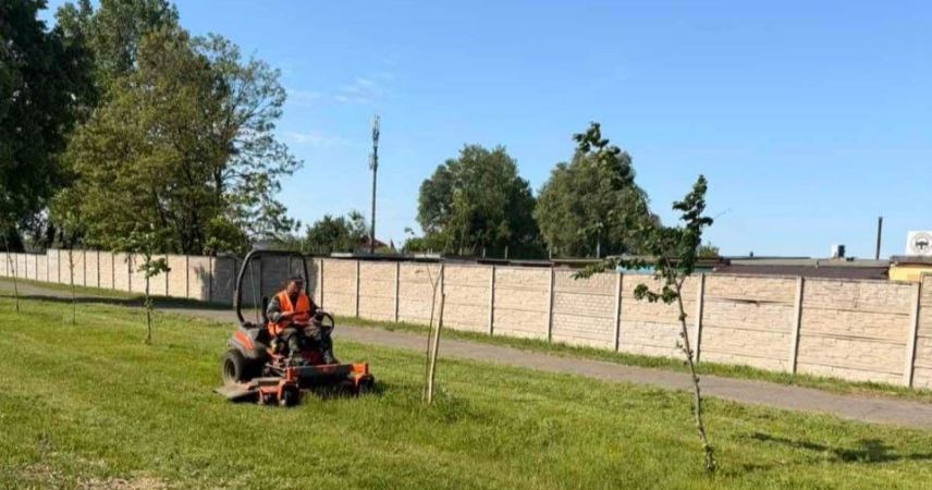 Единым фронтом за порядок: служба озеленения и все ЖЭСы города вышли на покос травы