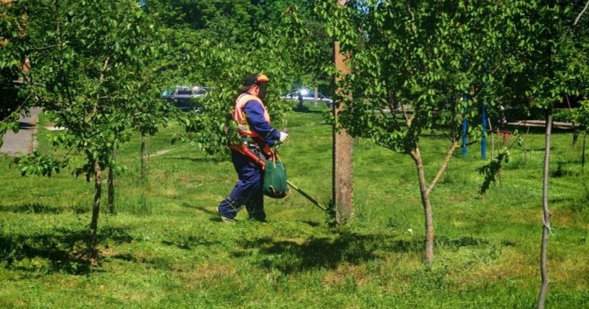 Летний режим ЖРЭУ: газоны в жилых кварталах будут приводить в порядок даже в выходные