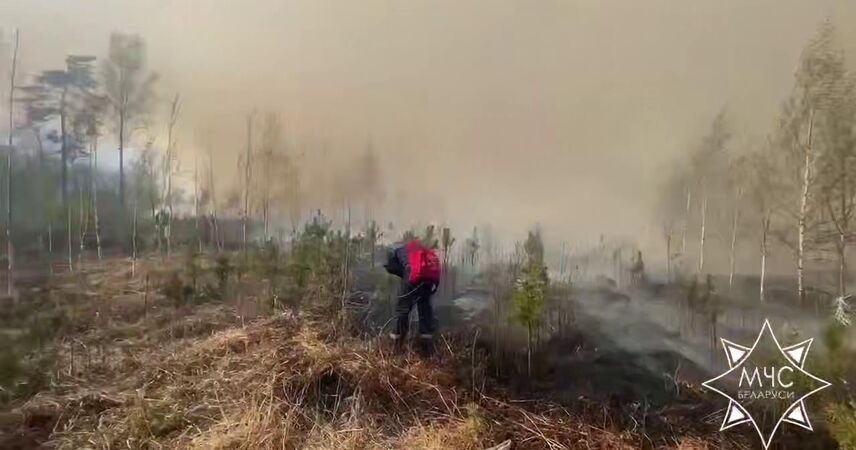 Под Пинском локализован крупный лесной пожар: огонь охватил около 50 гектаров