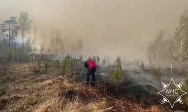 Под Пинском локализован крупный лесной пожар: огонь охватил около 50 гектаров