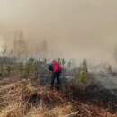 Под Пинском локализован крупный лесной пожар: огонь охватил около 50 гектаров