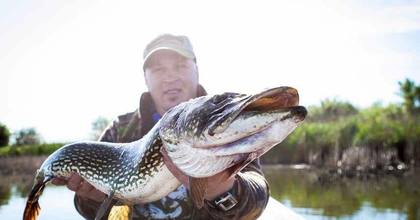 В Беларуси 1 марта стартует сезонный запрет на ловлю щуки: что нужно знать рыболовам