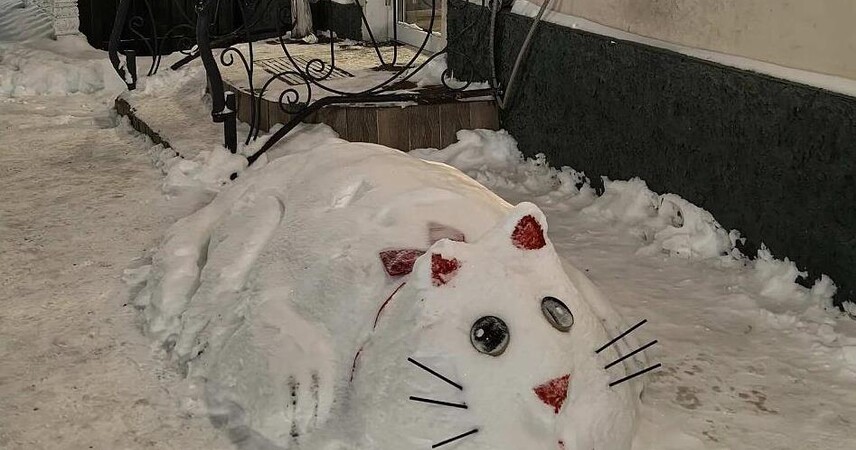 Большого снежного кота слепили в Пинске