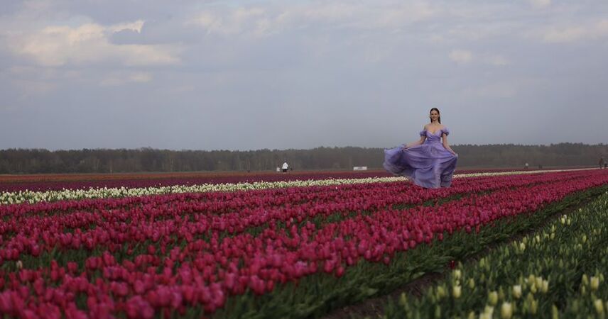Белорусская Голландия под Иваново: цветочный фестиваль станет ежегодным