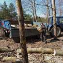 В Пинском районе продолжается месячник по благоустройству