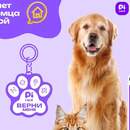 Новый способ найти пропавшего питомца: в Беларуси создали умный QR-брелок