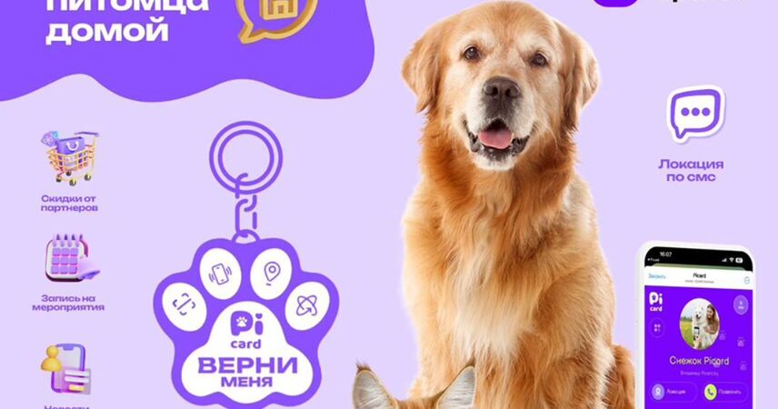 Новый способ найти пропавшего питомца: в Беларуси создали умный QR-брелок