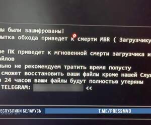 IT-гений или преступник? В Пинске 17-летний хакер попал под следствие за создание вируса-вымогателя