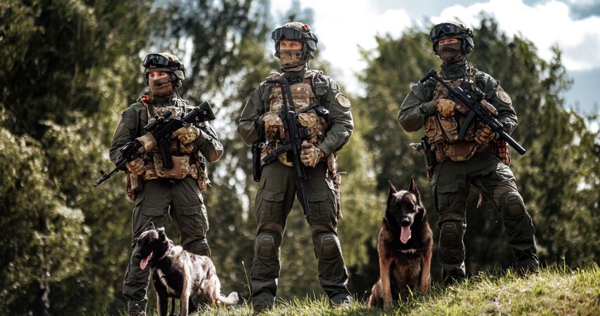 Реформа внутренних войск МВД в 2026-м: отряды спецназа преобразуют в воинские части и спецбригады