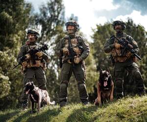 Реформа внутренних войск МВД в 2026-м: отряды спецназа преобразуют в воинские части и спецбригады