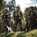 Реформа внутренних войск МВД в 2026-м: отряды спецназа преобразуют в воинские части и спецбригады