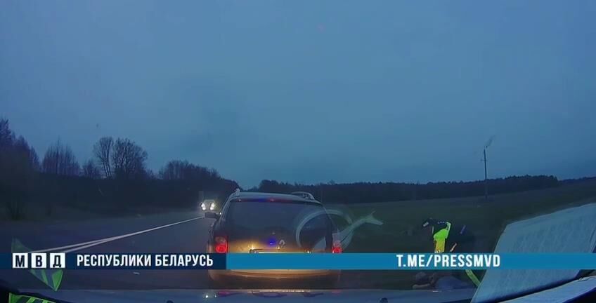 Погоня со стрельбой в Пружанах: пьяный бесправник на Renault пытался скрыться от ГАИ