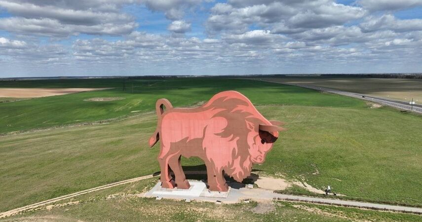 Знаменитому зубру на трассе М1 скоро выберут имя