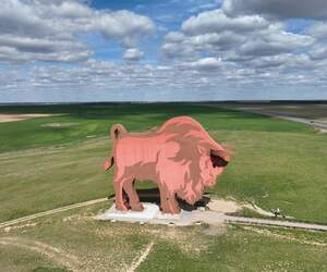 Знаменитому зубру на трассе М1 скоро выберут имя