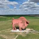 Знаменитому зубру на трассе М1 скоро выберут имя