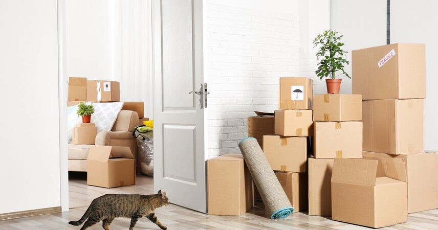 Международный переезд и транспортировка личных вещей