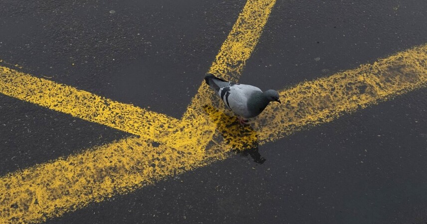 Ученые разработали асфальт, который сам заделывает трещины