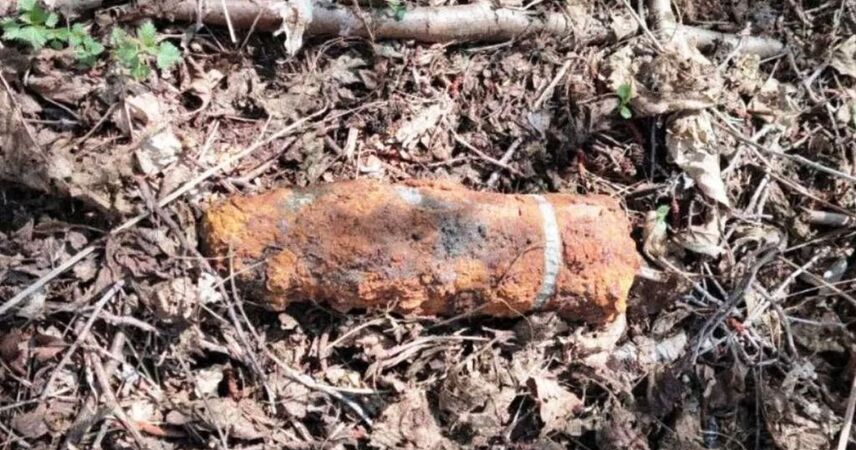 В Пинском районе найден боеприпас: на месте ЧП работали саперы и милиция