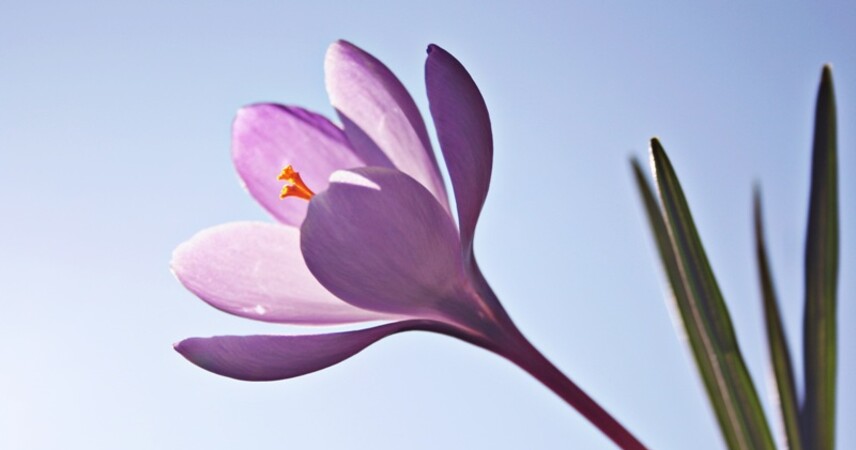 До +17°С ожидается в Беларуси в последние выходные марта