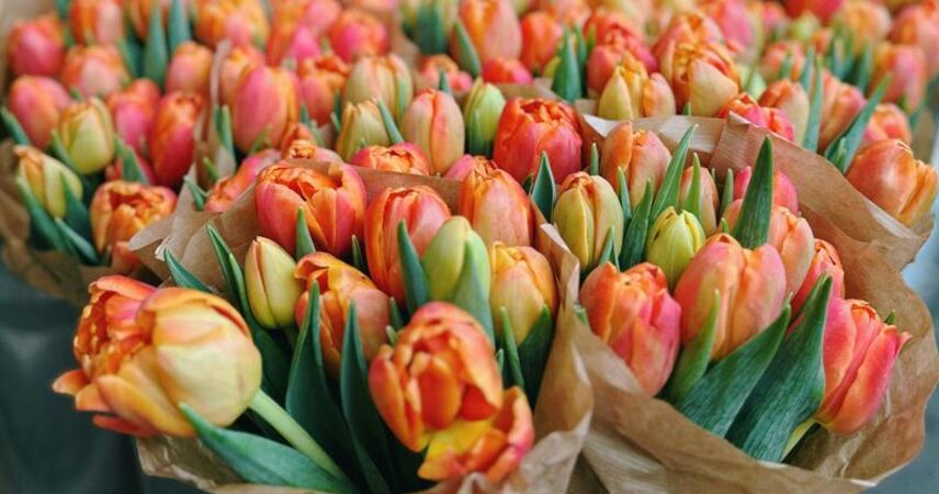 МАРТ проверит 3-7 марта продавцов цветов