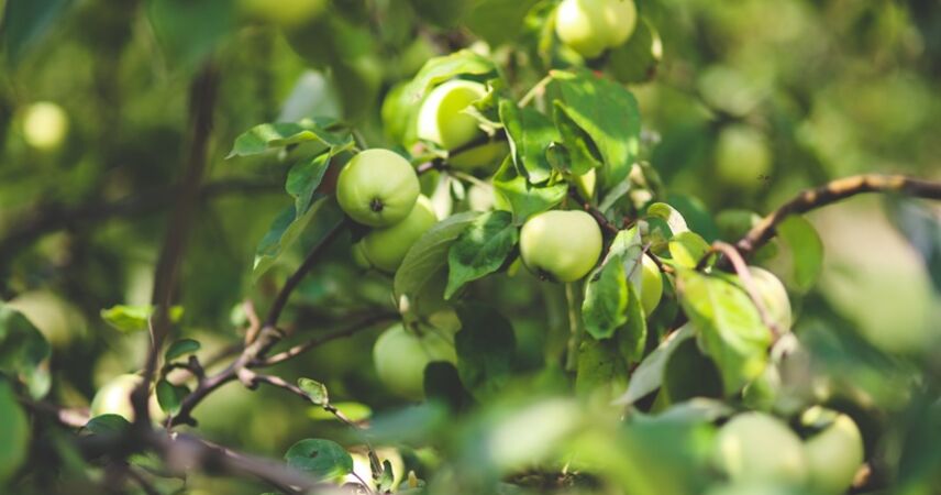 В Минтруда рассказали, сколько белорусов трудились на  временных работах в этом году