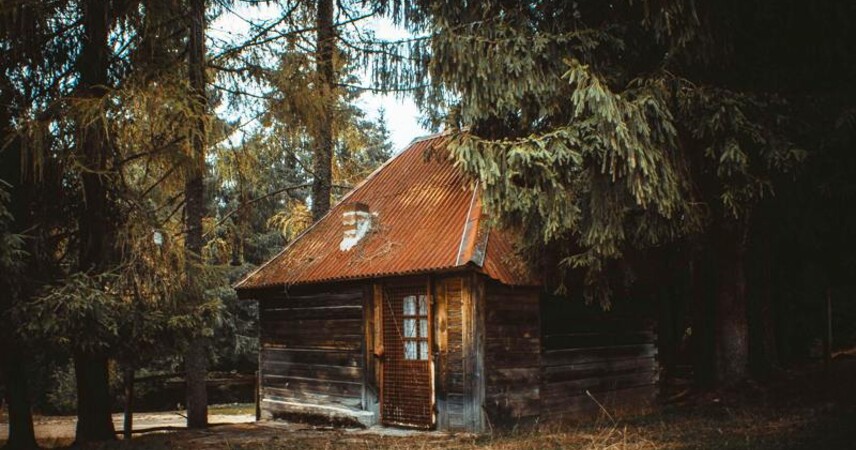 Более 48 тысяч пустующих жилых домов насчитывается в Беларуси