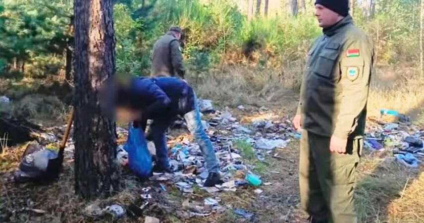 Житель Жабчиц оштрафован за незаконный выброс мусора в лесу: сработала фотоловушка