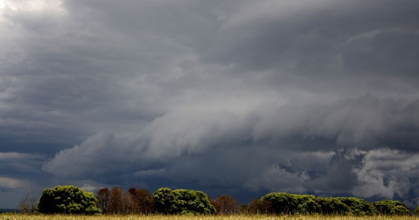 Сильные дожди и грозы ожидаются 30 июля в Беларуси